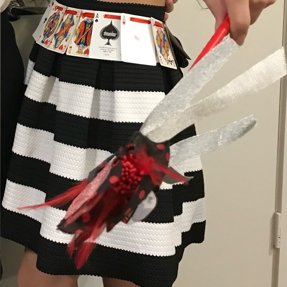 Queen of Hearts Halloween Outfit includes skirt, removable card belt and wand
